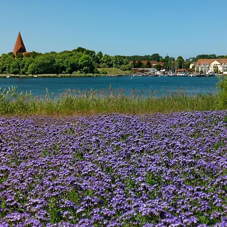 Doppelhaeuser Hus An De Waterkant Casa vacanze